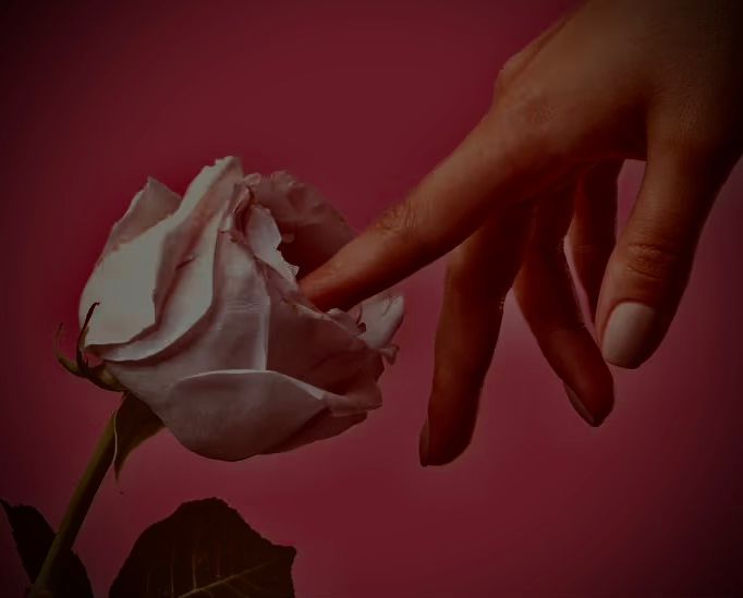 aliénor massage de la prostate